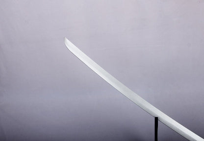 White Dragon - Silver Blade
